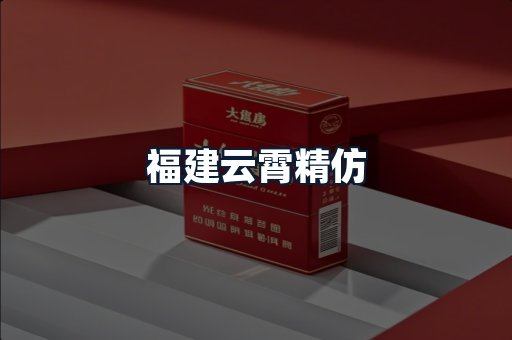 福建云霄精仿